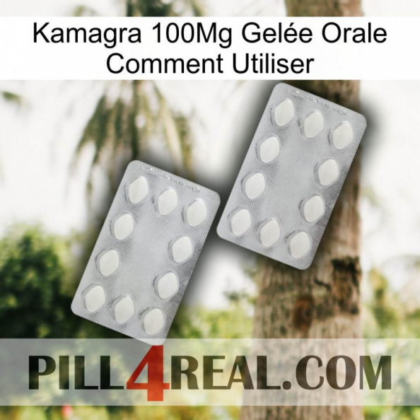 Kamagra 100Mg Gelée Orale Comment Utiliser 17